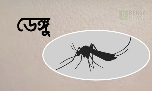 ডেঙ্গুতে ৫ জনের মৃত্যু, হাসপাতালে ভর্তি ১০৩৪