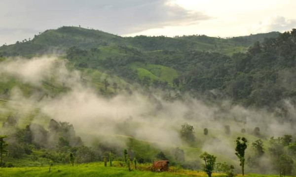 ভ্রমণে সতর্কতা