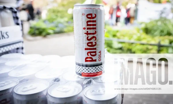 প্যালেস্টাইন কোলার বাজিমাত