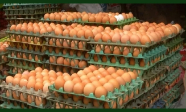 ডিমের দামে রেকর্ড!