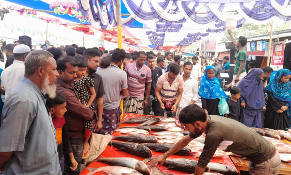 নবান্ন উৎসবে বগুড়ায় কোটি টাকার মাছের মেলা