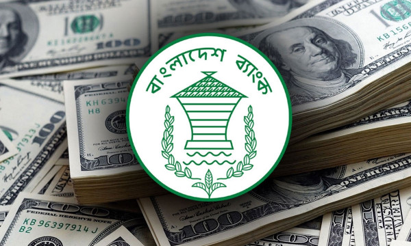রিজার্ভ আবারও ২০ বিলিয়ন ডলারে নামলো