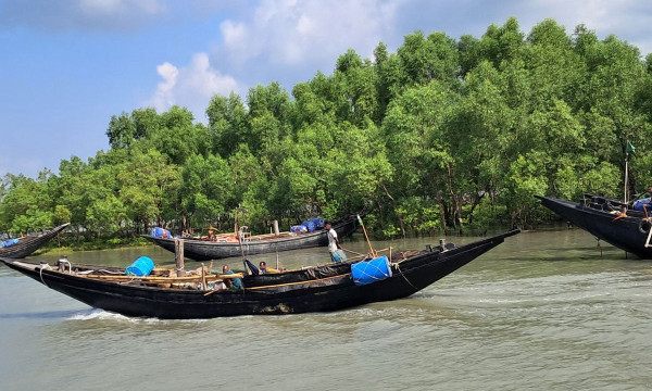 বঙ্গোপসাগরে ২০ জেলেকে অপহরণ বনদস্যুদের